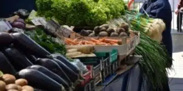 У нас по боросите се повишават цените на зеленчуците 7