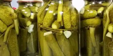 Забравете за кашавите краставици! Един прост метод за ецване, който гарантира хрупкавост и богат вкус в продължение на години 2