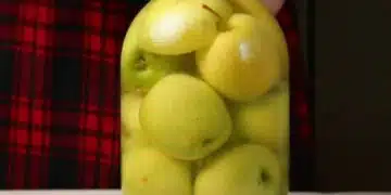 Домашно приготвени мариновани ябълки за 15 минути: Доказана рецепта 13