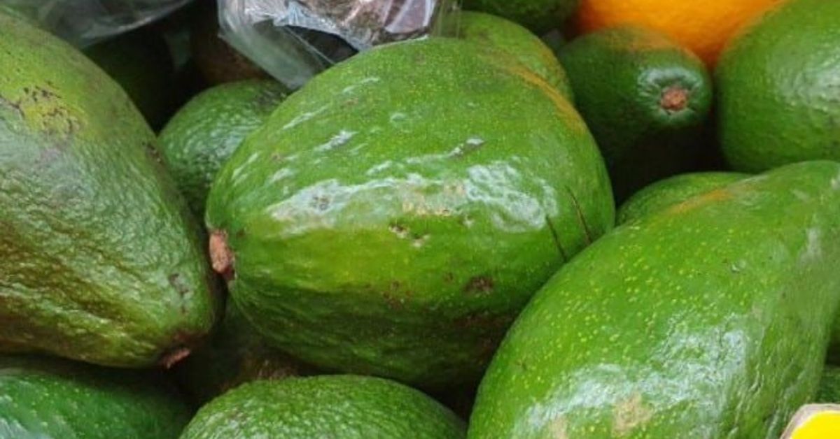 Тайната на перфектната кожа и коса: Защо всички диетолози са обсебени от този плод Пресни зелени авокадота, подредени на щанд за плодове и зеленчуци.