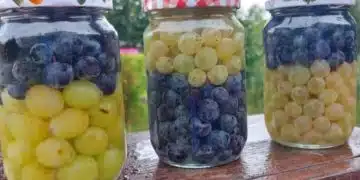 Три буркана с грозде