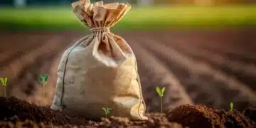 Чанта с семена и растения