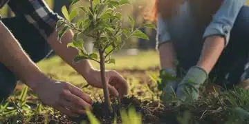 Засаждане на младо дърво.
