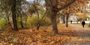 Пейзаж с есенни листа и хора