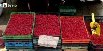 Купчини малини на пазар