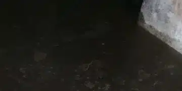 В Добрич блок пропада заради подкопаване от отпадни води 11