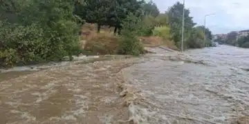 Наводнение на улица с дървета