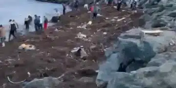 Мъж в Царево откри общо 400 лева на плажа само за два дни 6