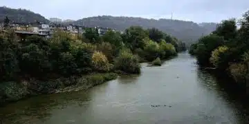 Река с зеленина и сгради.