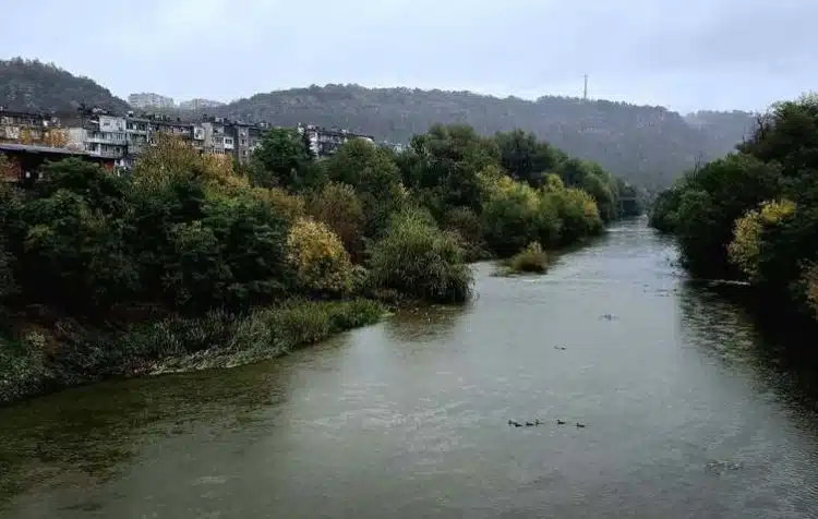 Река с зеленина и сгради.