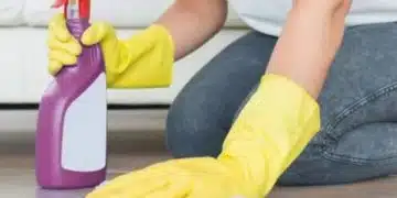 Какво е шведско почистване? 5