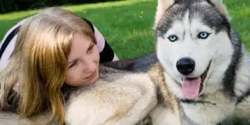 За тези, на които им липсва комуникация: най-приказливите породи кучета 1