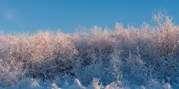 Силен снеговалеж удари Босна и Херцеговина 1