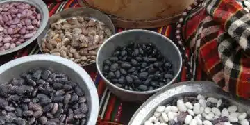 Коледният пост започна 9