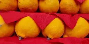 Жълти лимони върху червена хартия