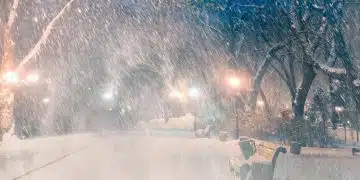 Сняг и тъмен зимен парк
