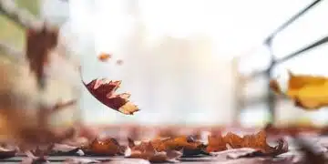 Есенни листа, падащи на земята