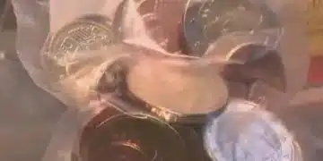 БНБ обяви удължено работно време за раздаването на стартовите пакети с евро 2