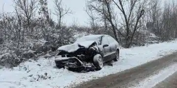 Диана Русинова съобщи за тежка катастрофа край Враца с пострадали деца 2