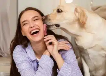 5 скрити причини, поради които кучето ви ви ближе 14