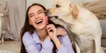 5 скрити причини, поради които кучето ви ви ближе 1