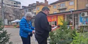 Засилен контрол и санкции за незаконни елхи в Кюстендилско 1