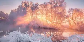 Хороскоп за 9–10 януари за всички зодии 2