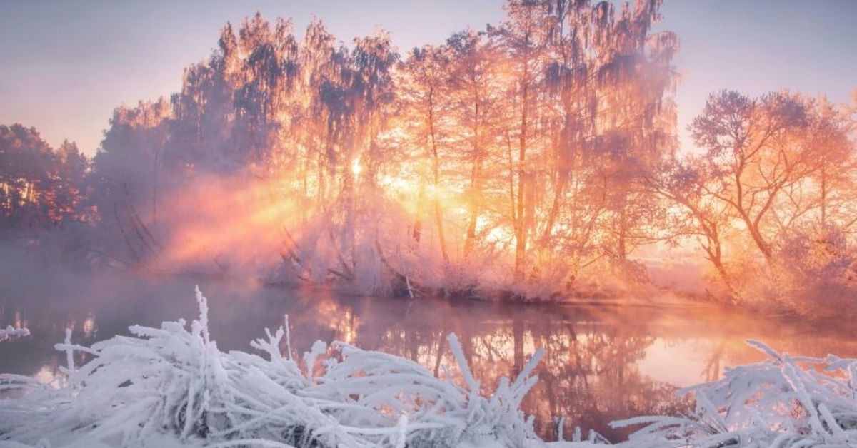 Февруарски разтърсвания: Везни, Скорпион и Водолей се приготвят за нова глава в живота си Красив зимен пейзаж със слънчев изгрев, мъгла над река и заскрежени дървета.