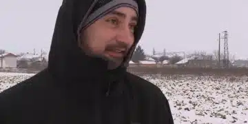 Земеделска драма: зеле за 50 тона остава на полето 1