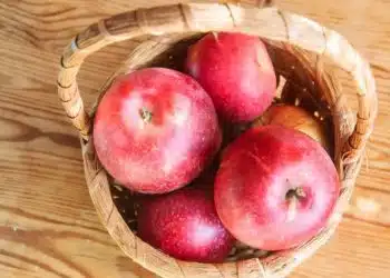 Как да ядете ябълките с максимална полза: да белим ли кората 2