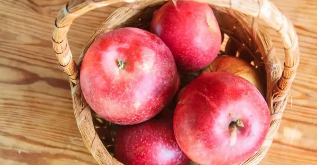 Как да ядете ябълките с максимална полза: да белим ли кората Плетена кошница с яркочервени ябълки върху дървена повърхност.
